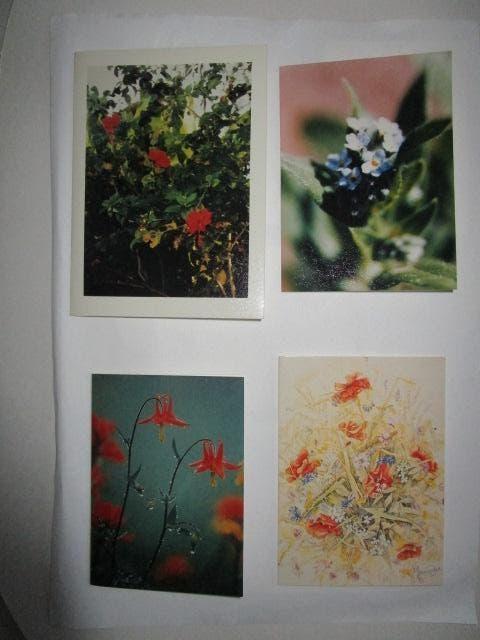 Bidprentjes 750 stuks, Verzenden, Bidprentje