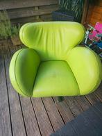 Groene design hondenstoel, Dieren en Toebehoren, Ophalen, Gebruikt