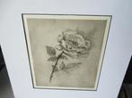 Johan Hemkes -  Roos, Antiek en Kunst, Kunst | Etsen en Gravures, 31 cm, 26 cm, Ets, Ophalen of Verzenden