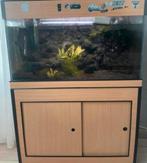 Aquarium, Ophalen, Zo goed als nieuw, Gevuld zoetwateraquarium