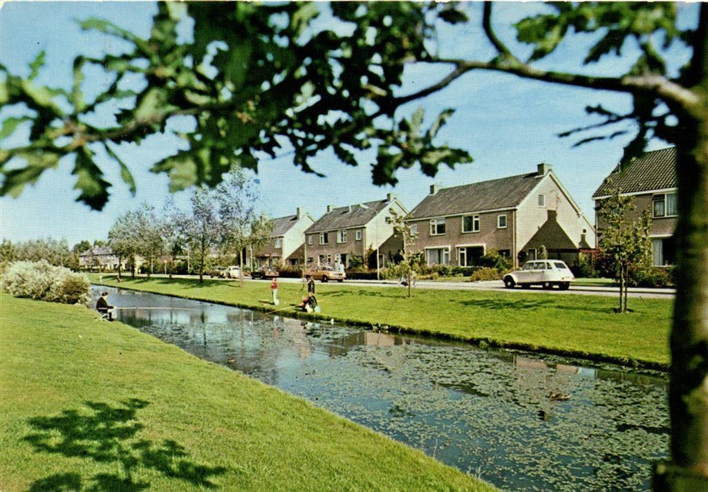 Puttershoek, Eikenlaan - 1989 gelopen, Ophalen of Verzenden, Voor 1920, Gelopen, Noord-Brabant