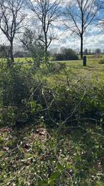 Gratis snoeiafval voor paasvuur, Tuin en Terras, Ophalen of Verzenden