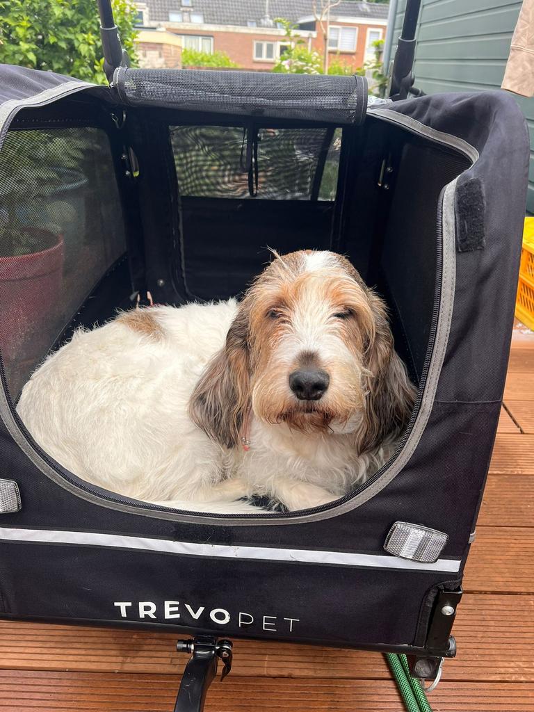 Zeer goede en fjine Zwarte Honden fietskar van trevopet, Ophalen, Zo goed als nieuw