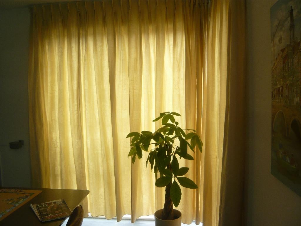 Gordijnen H. 255 x br. 375 cm. geplooid., 200 cm of meer, Creme met motiefje, Ophalen of Verzenden, Zo goed als nieuw