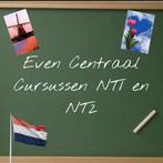 Nederlandse les / Dutch lessons, Taalles