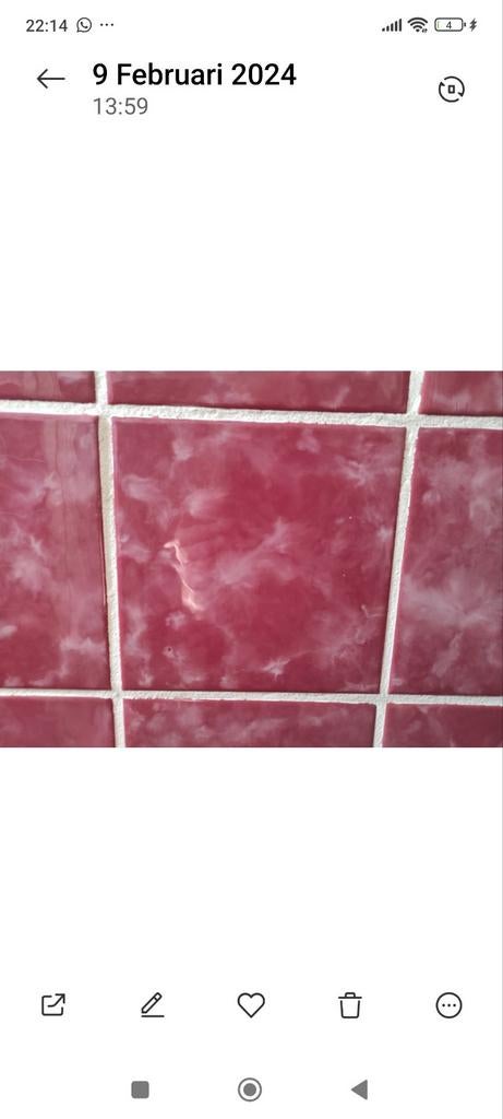 Mooie rode tegels gezocht, Doe-het-zelf en Verbouw, Tegels, Gebruikt, Ophalen of Verzenden, 20 tot 40 cm, Minder dan 5 m²