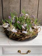 Plantenarrangement in eierschalen. Echt voorjaar!, Huis en Inrichting, Ophalen, Nieuw