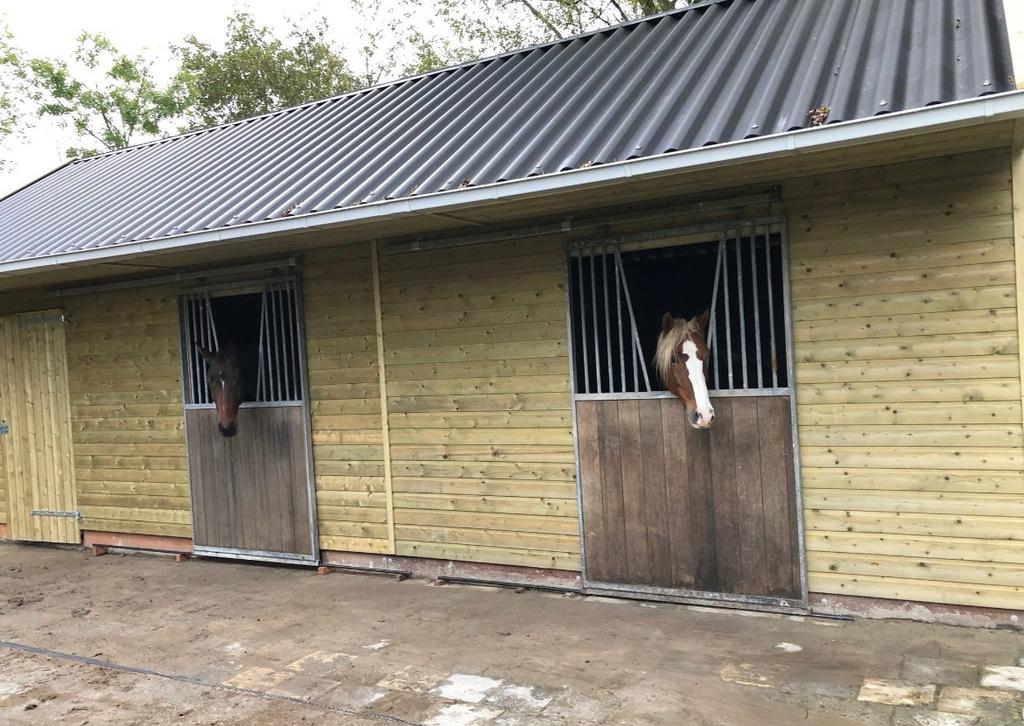 pensionstal beschikbaar, Dieren en Toebehoren, Stalling