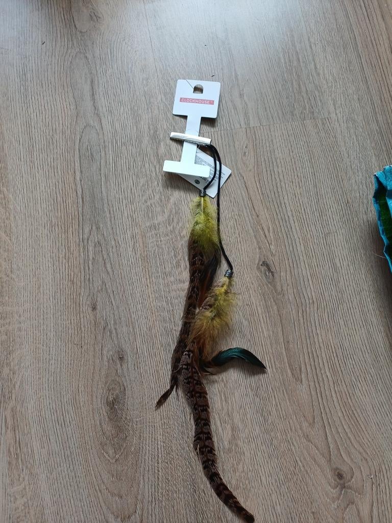 Haarclip met veren van Clockhouse, Ophalen of Verzenden, Nieuw