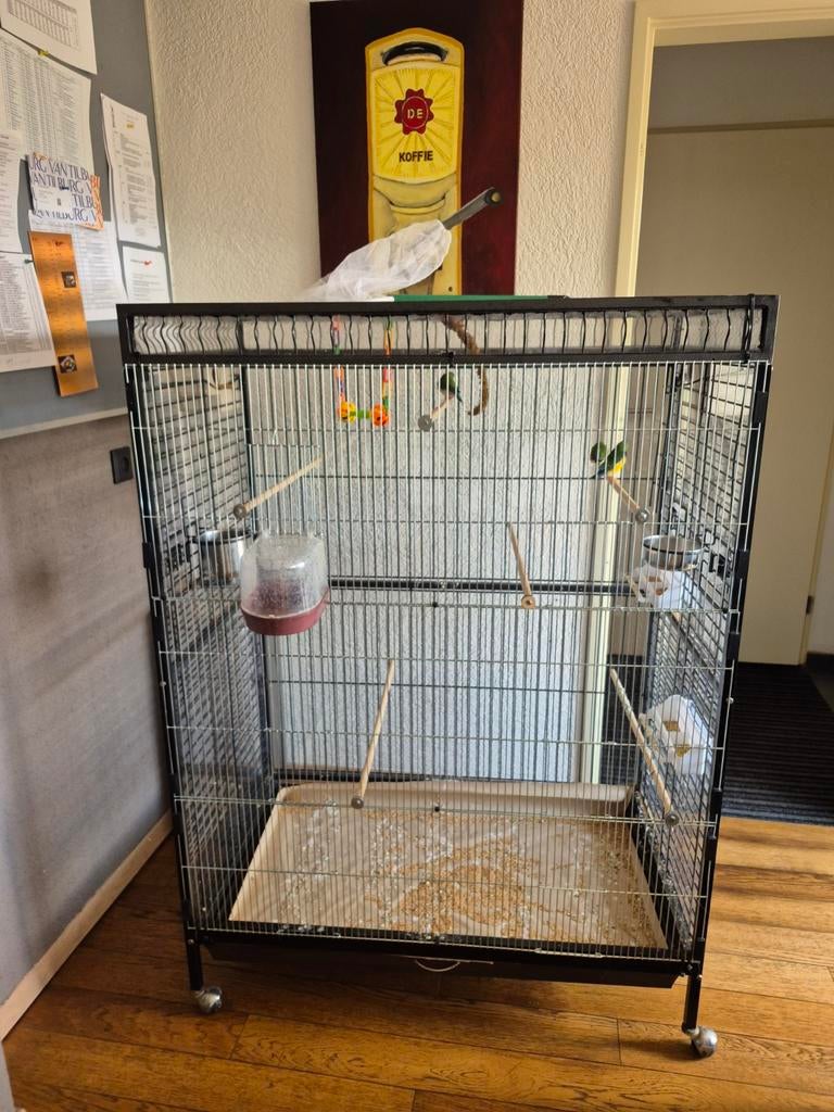 Te koop, Dieren en Toebehoren, Ophalen, Aluminium, Volière