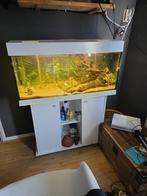 Aquarium 160 liter, Ophalen, Zo goed als nieuw, Leeg aquarium