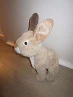 Velours haas knuffel 50 cm groot ( Pasen )., Ophalen of Verzenden, Zo goed als nieuw