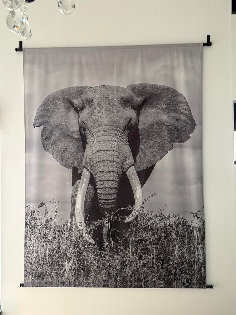 Wandkleed.  130x170 cm Olifant, Huis en Inrichting, Woonaccessoires | Wanddecoraties, Ophalen of Verzenden, Zo goed als nieuw