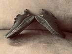 Sketchers bobs sneakers, Ophalen of Verzenden, Zo goed als nieuw, Zwart, Sneakers of Gympen