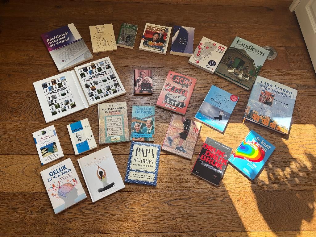 Boeken en kinderboeken, Ophalen of Verzenden, Zo goed als nieuw, Fictie algemeen