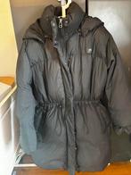 Dames winterjas van levis maat M, Ophalen, Zo goed als nieuw, Blauw