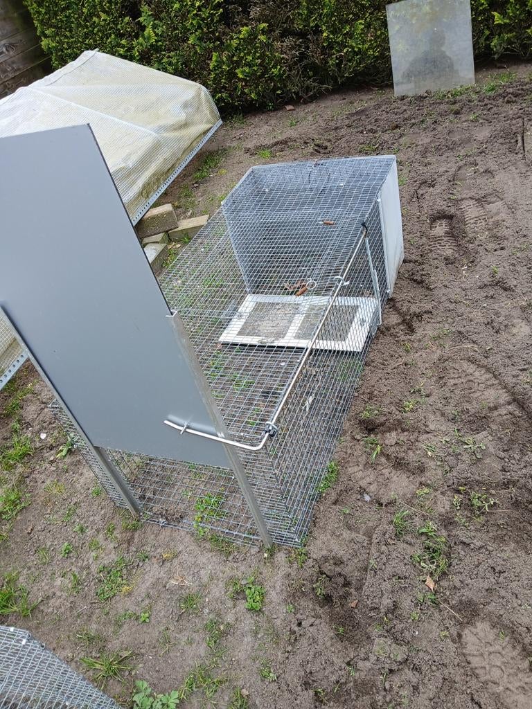Mooie vangkooi voor heel veel dieren, gegalvaniseerde kooi., Dieren en Toebehoren, Vogels | Hokken en Kooien, Ophalen, Metaal