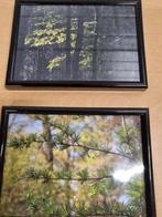 Fotolijsten 2 stuks, Ophalen of Verzenden, 'T Olde Gre-j, Info@toldegrej.nl, Endepoelstraat 20f Didam