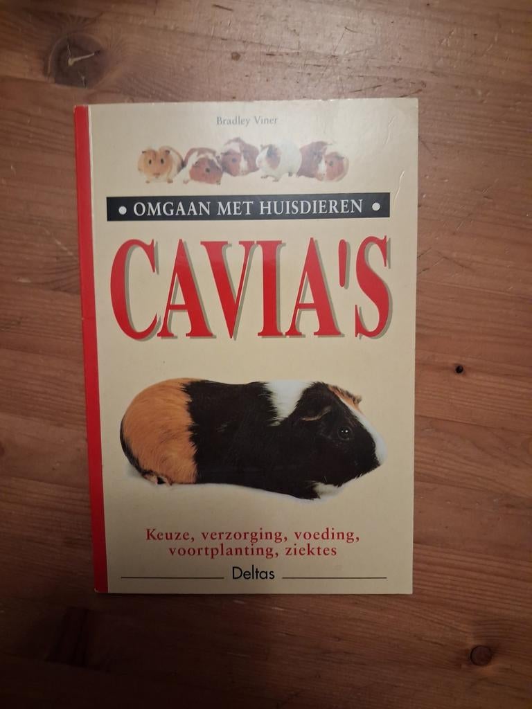 Omgaan met huisdieren cavia's, Boeken, Ophalen of Verzenden, Zo goed als nieuw, Konijnen of Knaagdieren