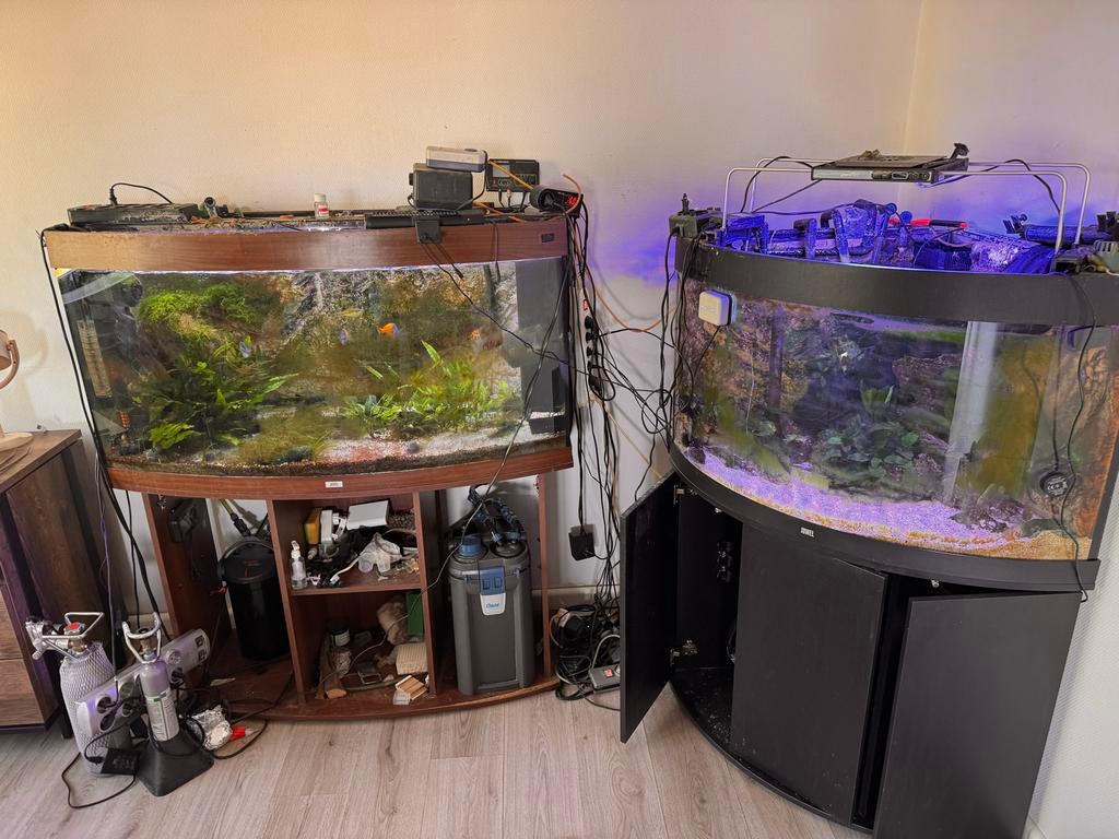 GRATIS AF TE HALEN. 1 HOEKAQAURIUM, Dieren en Toebehoren, Ophalen, Leeg aquarium