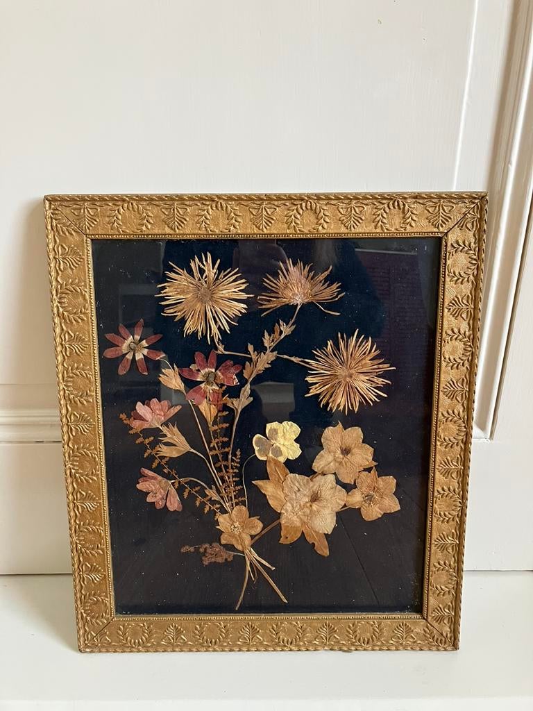 Gouden lijst met droogbloemen, Ophalen, Zo goed als nieuw, Hout, Minder dan 50 cm