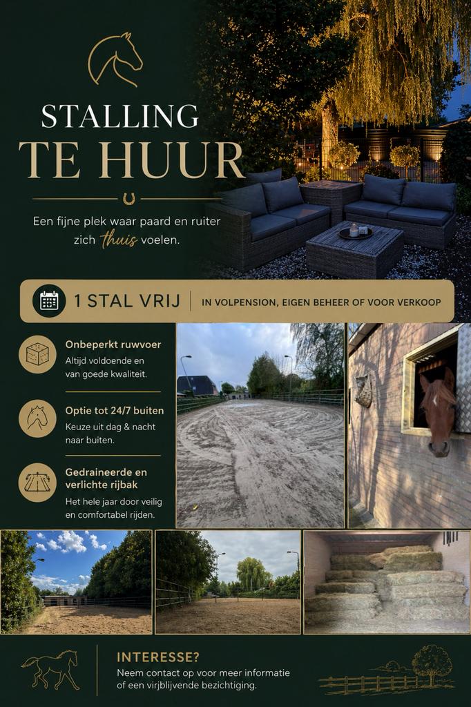 Volpension of eigen beheer - 1 stal te huur op privestal, Dieren en Toebehoren, Stalling en Weidegang, Stalling