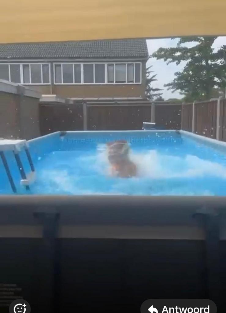 Zwembad INTEX 488x244x122 met zand/zoutfilter en trap, 200 tot 300 cm, Zo goed als nieuw, Rechthoekig, Ophalen