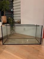 Aquarium 100x40x50, Zo goed als nieuw, Ophalen, Minder dan 60 cm, Hok