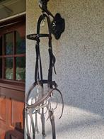 Hoofdstel, Dieren en Toebehoren, Paarden en Pony's | Hoofdstellen en Tuigage, Ophalen of Verzenden, Gebruikt, Springen