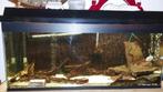 AQUARIUM TE KOOP afmetingen 100x30x40cm (BxDxH), Ophalen, Gebruikt, Leeg aquarium