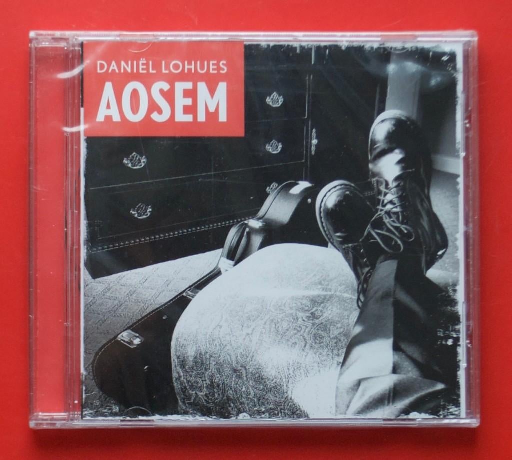 Daniel Lohues Aosem 2016 Daniël Drents Waor gaon we naortoe, Cd's en Dvd's, Cd's | Nederlandstalig, Ophalen of Verzenden, Zo goed als nieuw