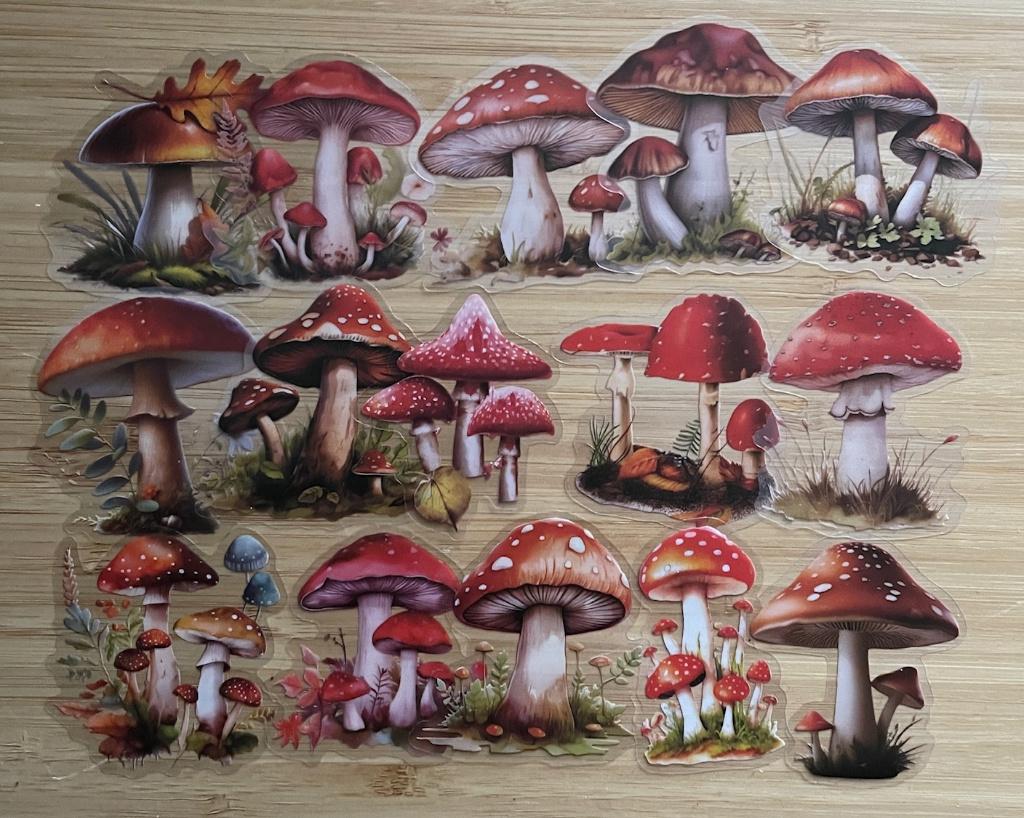 Paddenstoelen stickers, Verzenden, Nieuw, Meerdere stickers