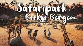 4 Kaarten - Beekse bergen (27 april Koningsdag), Tickets en Kaartjes, Drie personen of meer, Ticket of Toegangskaart