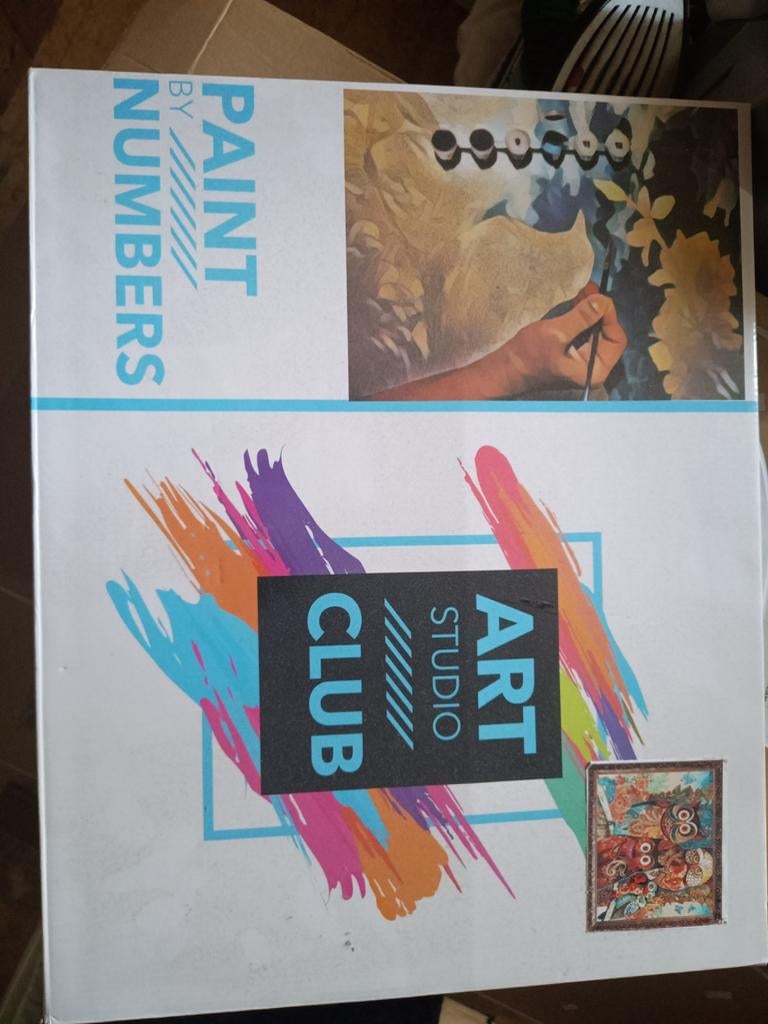 Art Studio Club Paint by Numbers, Ophalen of Verzenden