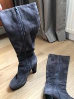 Suède Grijze Laarzen di Lauro, Kleding | Dames, Schoenen, Ophalen, Hoge laarzen, Grijs, Di lauro