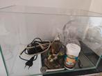 Vissenkom inclusief pompje, steentjes en sluierstaartvoer, Dieren en Toebehoren, Ophalen, Leeg aquarium