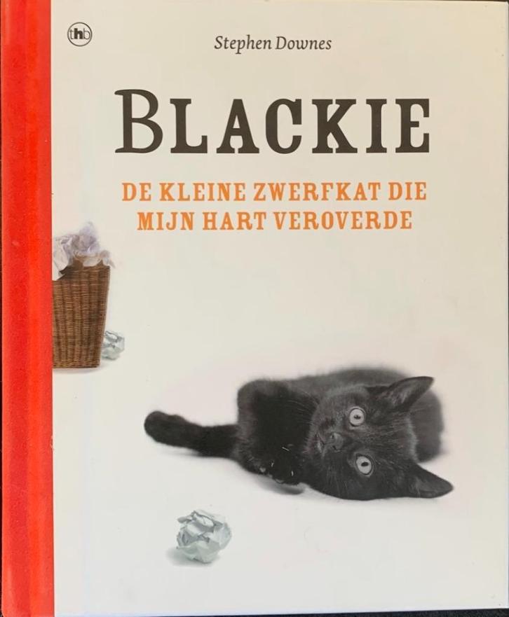 Blackie de kleine zwerfkat die mijn hart veroverde boek kat, Boeken, Dieren en Huisdieren, Zo goed als nieuw, Katten, Ophalen of Verzenden