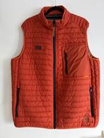 Camel active Oranje gewatteerd heren bodywarmer, Ophalen of Verzenden, Zo goed als nieuw, Maat 56/58 (XL), Oranje