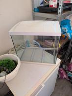 40L aquarium, Dieren en Toebehoren, Ophalen, Leeg aquarium