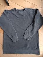 ZGAN Comfort Colors S sweater donkergrijs, Studio Anneloes, Nieuw, Ophalen of Verzenden, Maat 36 (S)