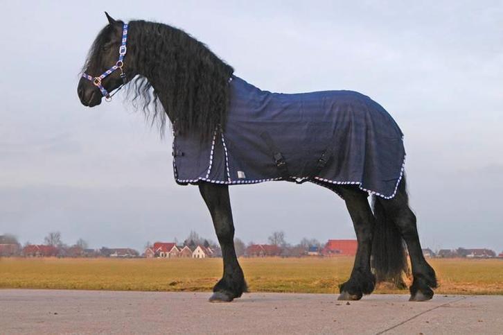 QHP zomer deken Friese bies 195, Dieren en Toebehoren, Paarden en Pony's | Dekens en Dekjes, Zo goed als nieuw, Deken, Ophalen of Verzenden