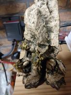 Decoratieve elementen voor het aquarium, Ophalen