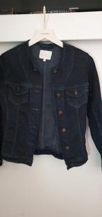 Blue ridge  spijker jasje mt xs, Verzenden, Zo goed als nieuw