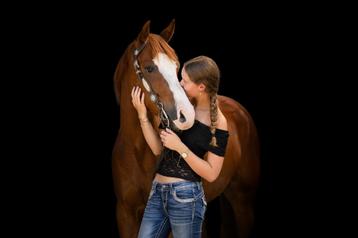 Super lief en vriendelijke quarterhorse ruin beschikbaar voor biedingen