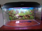 Aquarium 40 liter + luchtpompje+ thermostaat, Dieren en Toebehoren, Vissen | Aquaria en Toebehoren, Ophalen of Verzenden, Zo goed als nieuw