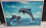 Dolfijnen, Minder dan 50 cm, Nieuw, Foto of Poster, Ophalen of Verzenden
