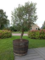 Eikenhouten Bloembak Plantenbak Minivijver Vat 135 liter, Nieuw, Rond, Hout, 30 tot 60 cm