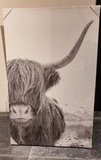Canvas Schotse Hooglander Nieuw, Huis en Inrichting, Woonaccessoires | Schilderijen, Tekeningen en Foto's, Ophalen, Nieuw, 75 cm of meer