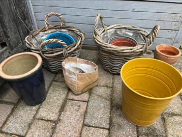 Verschillende maaten bloemenpotten voor fruit beschikbaar voor biedingen