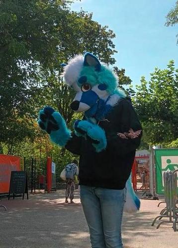 Fursuit beschikbaar voor biedingen